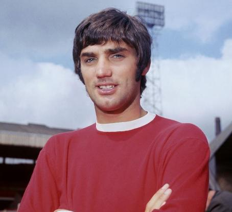 从休闲的牛 从休闲的牛